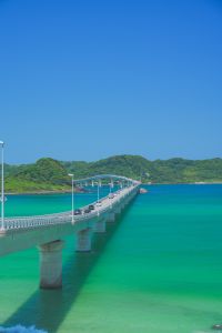 ノーイメージタグ