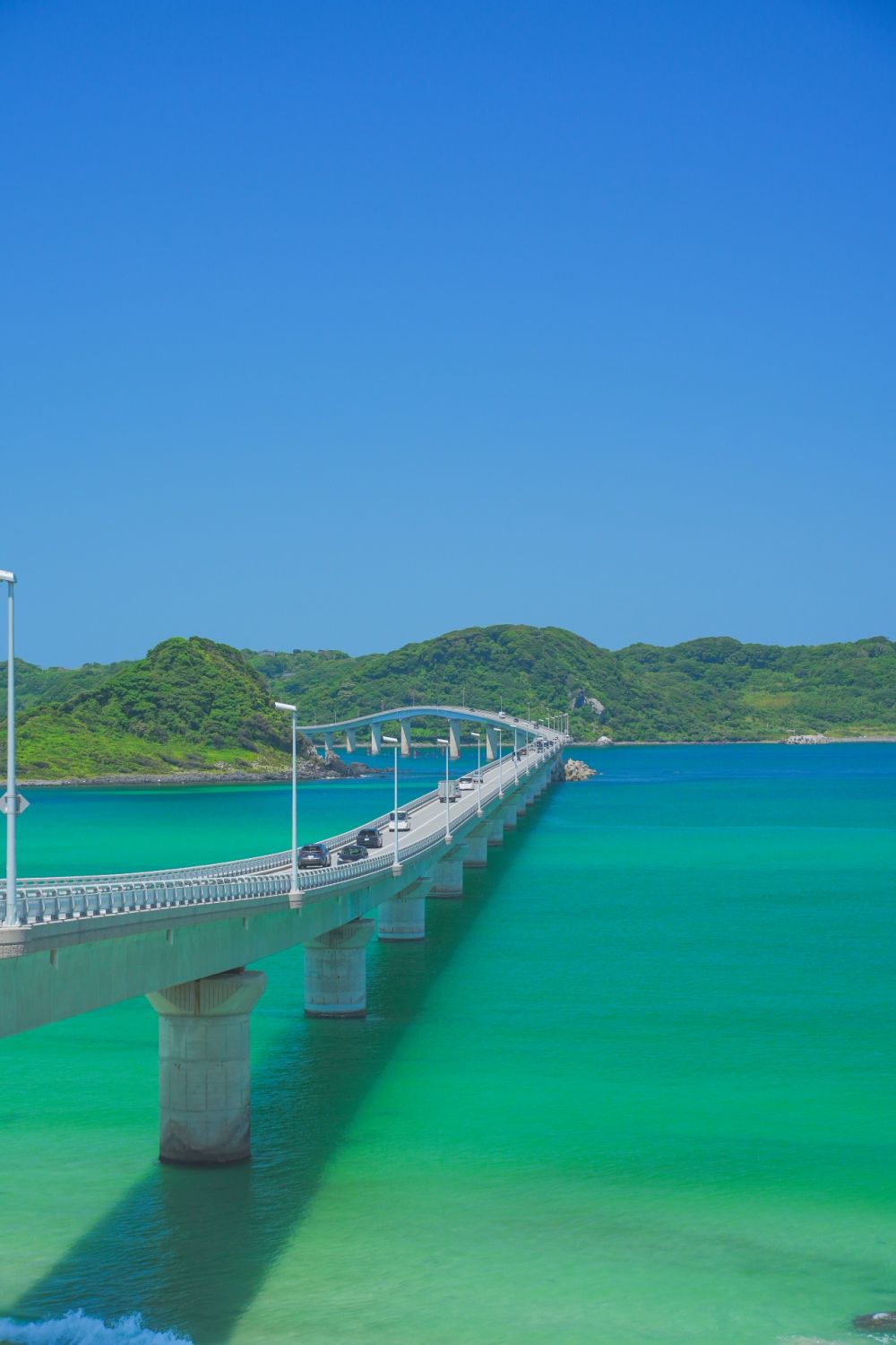 ノーイメージタグ