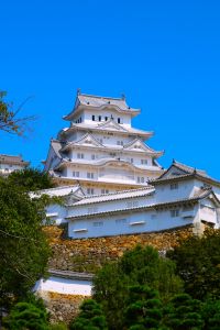 ノーイメージタグ