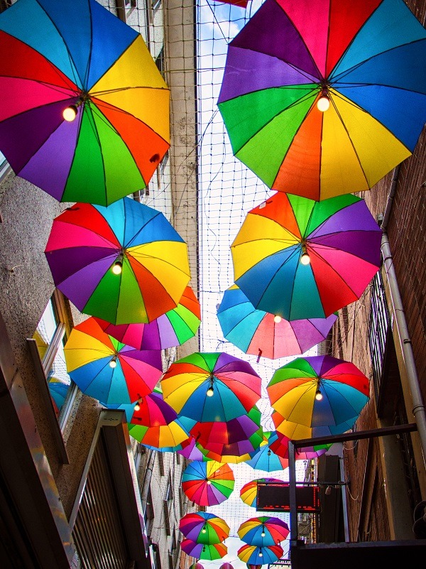 ノーイメージタグ